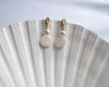 Load image into Gallery viewer, Shell with Pearl Earrings – Cinque Terre
