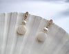 Load image into Gallery viewer, Shell with Pearl Earrings – Cinque Terre